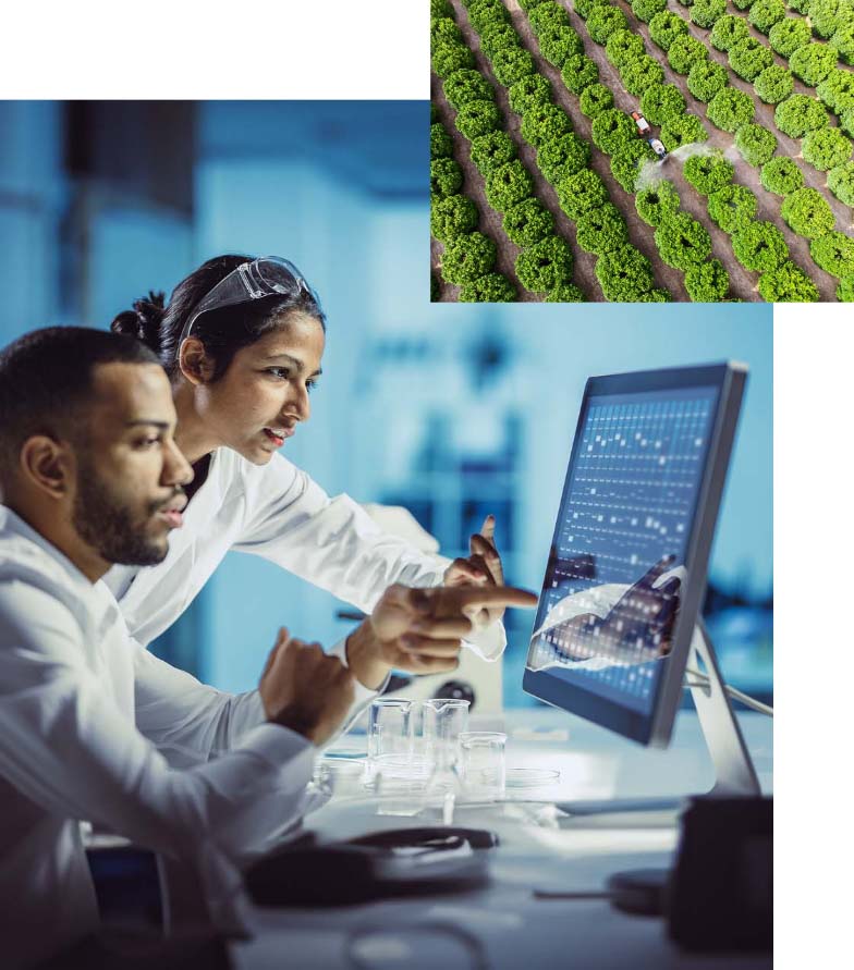 Success Story: How Syngenta And IBM Are Using AI To Pioneer Chemical ...